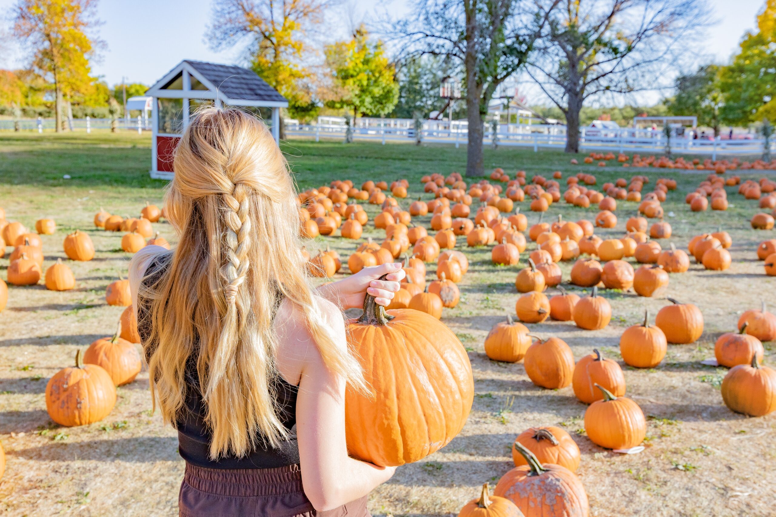 Above All Grand Salon & Spa — fall hairstyles inspiration